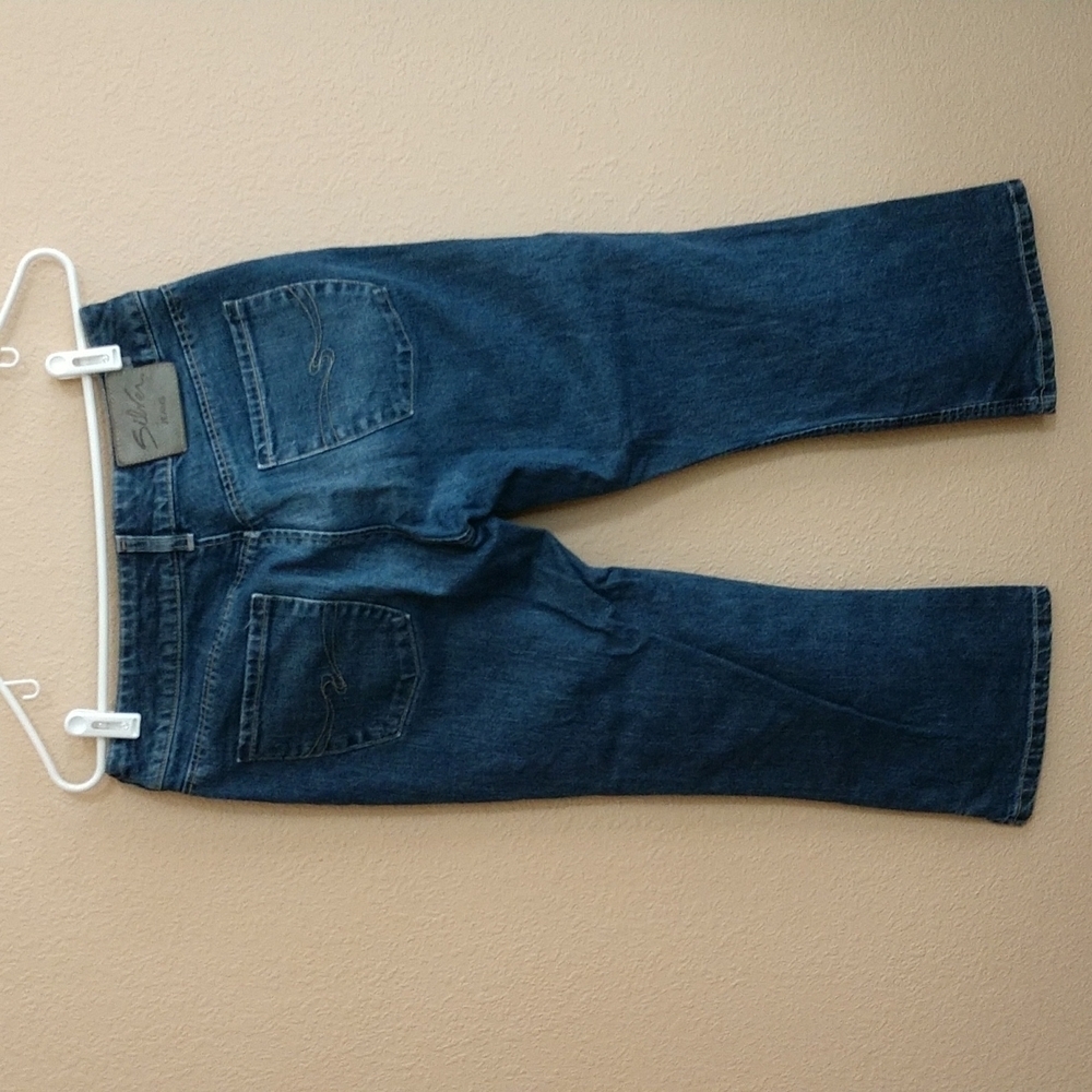 Silver Capris Size 30 - Picture 6 of 11